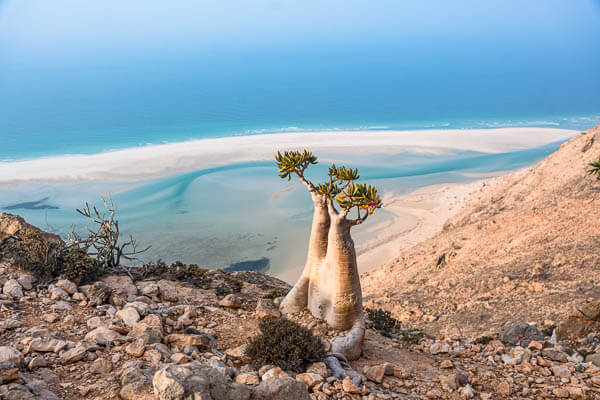 How to travel to Socotra in 2025