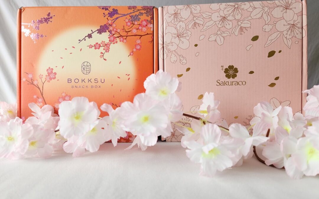 Which Japanese Snack Box is Better?