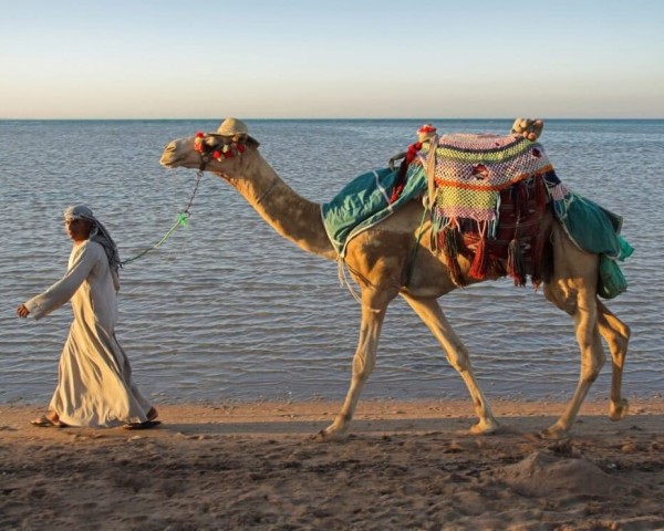 Egypt: Ras Hankorab Beach Endangered by Tourism