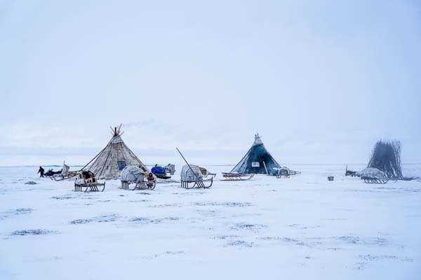 30 photos that will make you want to visit the Nenets in Siberia