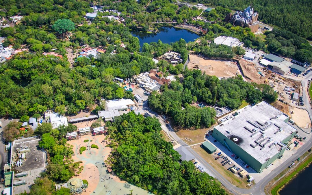 Tropical Americas Land at Animal Kingdom: Imagineering Progress & Permits