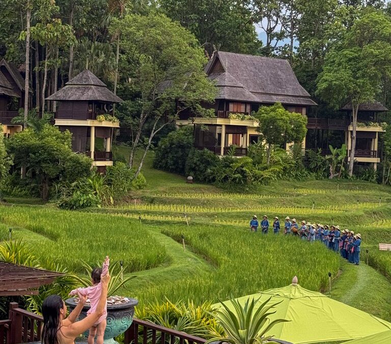 Four Seasons Chiang Mai: Where Buffalo Bathtime Is a Real Thing (and It’s Perfect)