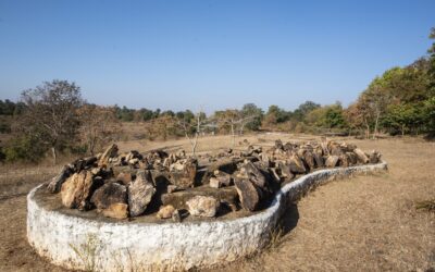 A Timeless Window into Prehistoric Flora – Tourism Breaking News