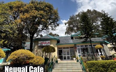 Mystical Evenings at Neugal Café: My Travel Notes