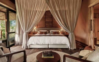 The top 5 luxury lodges in Uganda for wildlife encounters like no other