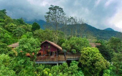 Top 5 Treehouses In Wayanad For A Magical Stay Amid Nature – Iris Holidays