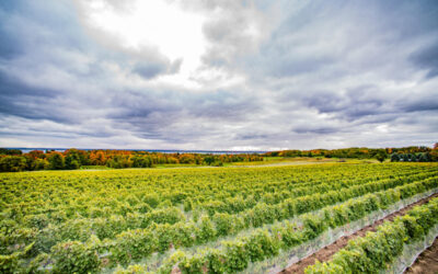 Events Happening This Fall in Traverse City