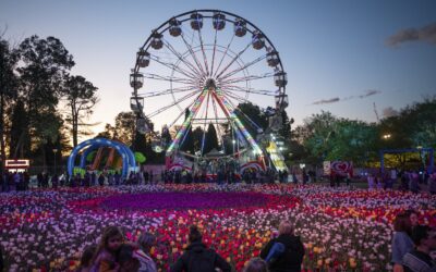 Experience the magic of Floriade 2025 – Tourism Breaking News