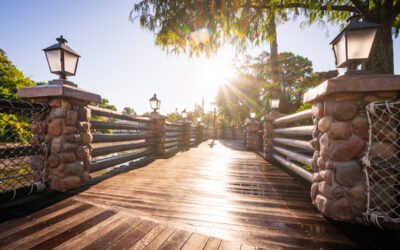 Nature “Reclaims” Rivers of America as Disney World Drains Waterway for Demolition