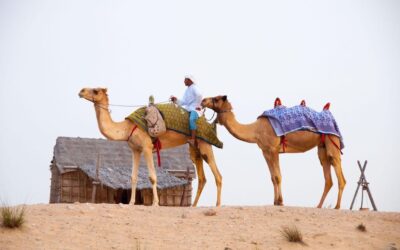 Desert Safari Dubai Cost: Everything You Need to Know