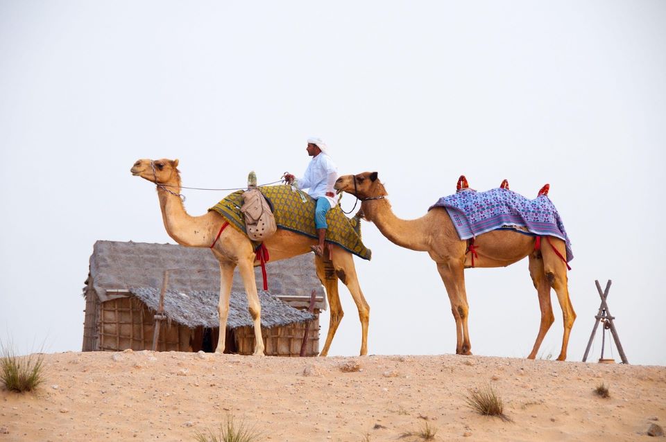 Desert Safari Dubai Cost: Everything You Need to Know