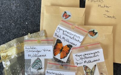 Digital Artisans – Hi, I’m Anna