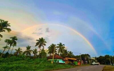 Kerala In February- Places To Visit And Tips – Iris Holidays
