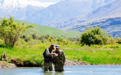 Spring in New Zealand’s South Island