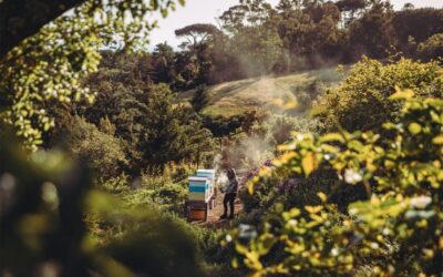 Alila Launches ‘A World Awaits’ Campaign — LODGING