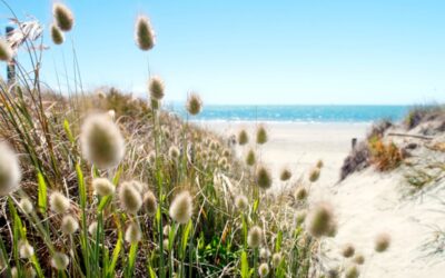 Hospitality Business Magazine