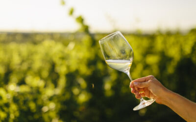 Unique Wineries for Dining, Weddings, and Pets