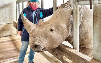 6 wonderful animal experiences in England