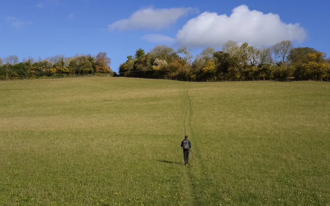 10 Great Pub Walks In The Chilterns